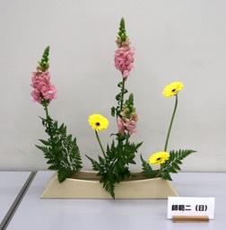 Ikebana_02182024