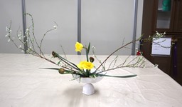 Ikebana_02212024