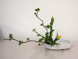 Ikebana_03132024