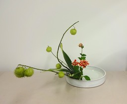 Ikebana_11062024